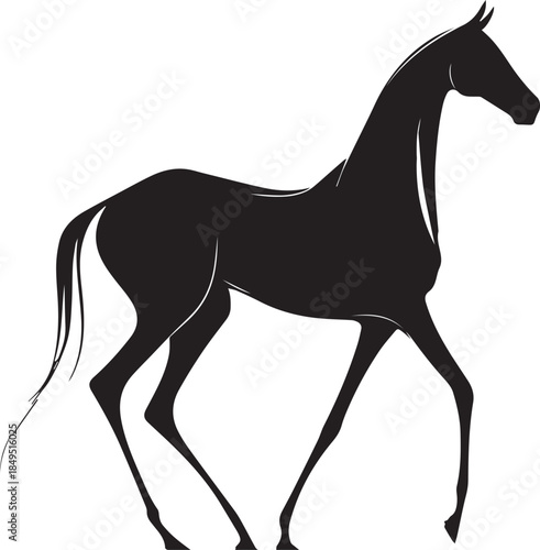 Akhal-Teke Horse Vector Silhouette Black Isolated on White Background