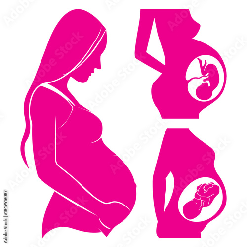 a pregnant woman with the fetus in the womb