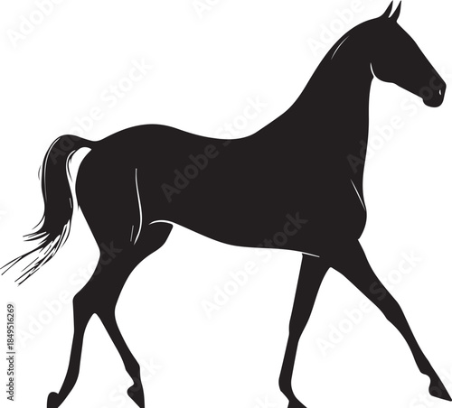 Akhal-Teke Horse Vector Silhouette Black Isolated on White Background