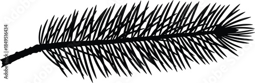 Pine branch silhouette illustration, evergreen conifer needle graphic, forest nature element icon, winter holiday botanical design, minimal black organic symbol