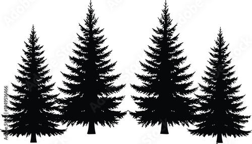 Set of pine tree silhouettes, evergreen forest collection, black fir trees vector illustration, nature woodland design, isolated white background