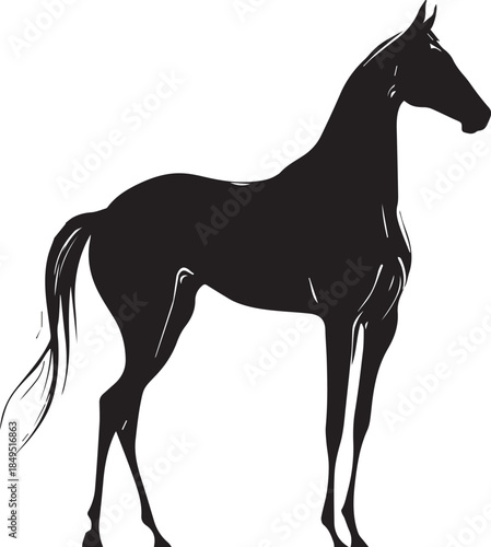 Akhal-Teke Horse Vector Silhouette Black Isolated on White Background