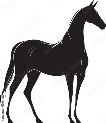 Akhal-Teke Horse Vector Silhouette Black Isolated on White Background