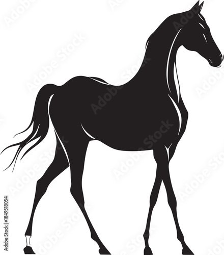 Akhal-Teke Horse Vector Silhouette Black Isolated on White Background