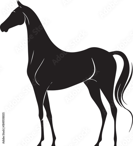 Akhal-Teke Horse Vector Silhouette Black Isolated on White Background