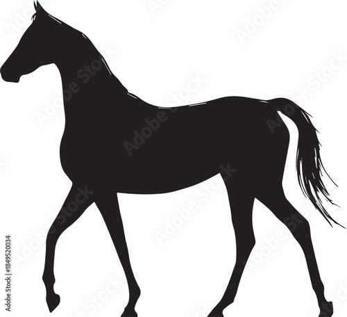 Akhal-Teke Horse Vector Silhouette Black Isolated on White Background