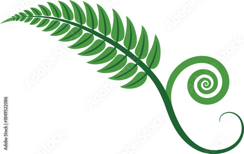 Green fern frond unfurling with a spiral stem and curling tendril
