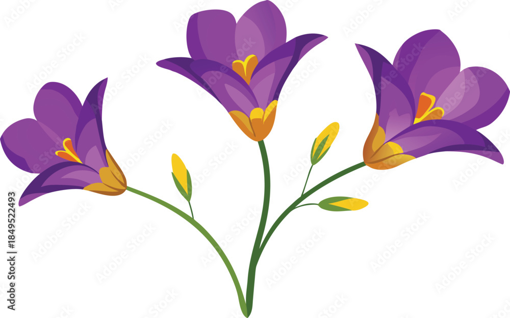 Naklejka premium Three vibrant purple freesia flowers with green stems and buds