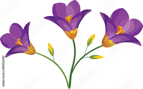 Three vibrant purple freesia flowers with green stems and buds