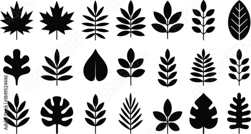 Black Botanical Leaf Silhouette Icons Set in Minimal Flat Nature Design Style for Branding, Patterns and Graphic Projects.