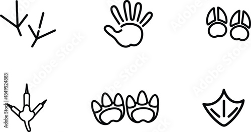 animal footprints and paw prints in black line art on white background