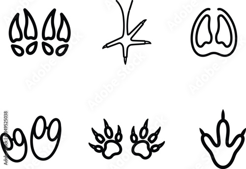 animal paw prints and bird foot illustration