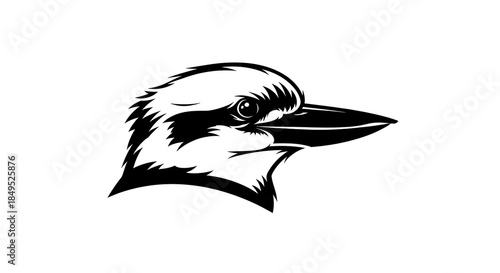 Kookaburra Head Illustration - Detailed Black and White Bird Portrait.