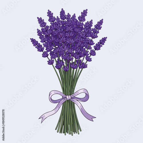 Beautiful bouquet of fresh lavender flowers with purple ribbon