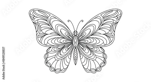 Intricate Line Art Butterfly Coloring Page for Adults and Children.
