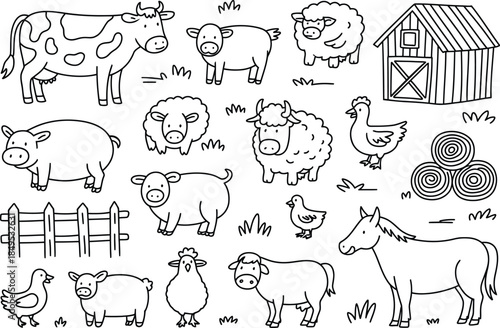 Black and white farm animals and barn sheep