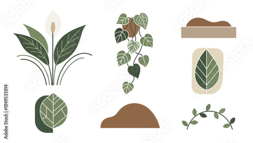 A collection of minimalist plant illustrations featuring a peace lily, hanging vine, stylized leaves, and gardening elements in a flat design style.