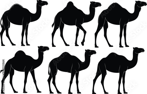 Camel silhouette vector set, desert animal icons, black camel shapes, wildlife graphic elements, stylized dromedary illustrations for nature and travel themes