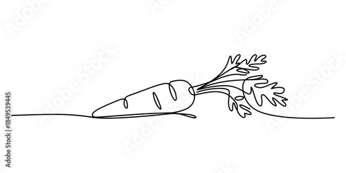 A minimalist continuous line art drawing of a single carrot with leafy greens Vector, illustration