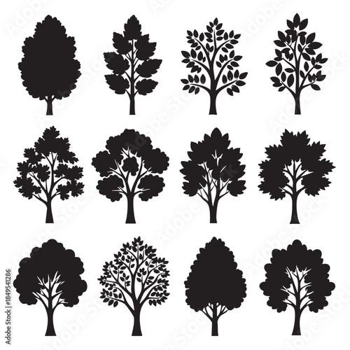 Set of various tree silhouettes for design and illustration projects