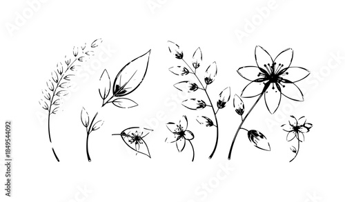 Transparent botanical elements with glass effect 3D vector illustration for architecture visualization
