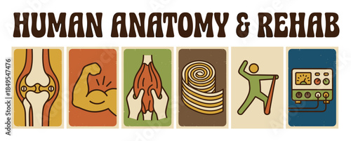 Human anatomy and rehabilitation icon set with vintage illustrations of a knee joint, bicep muscle, massage, therapy tape, exercise, and a physical therapy machine in a retro style