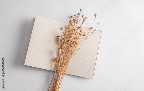 Notebook with dried herbs on a white background. Herbarium, natural, eco concept.