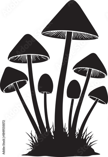 Cluster of Forest Mushrooms silhouette on a white background