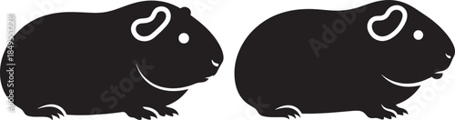 Silhouette of pair of guinea pigs standing side by side