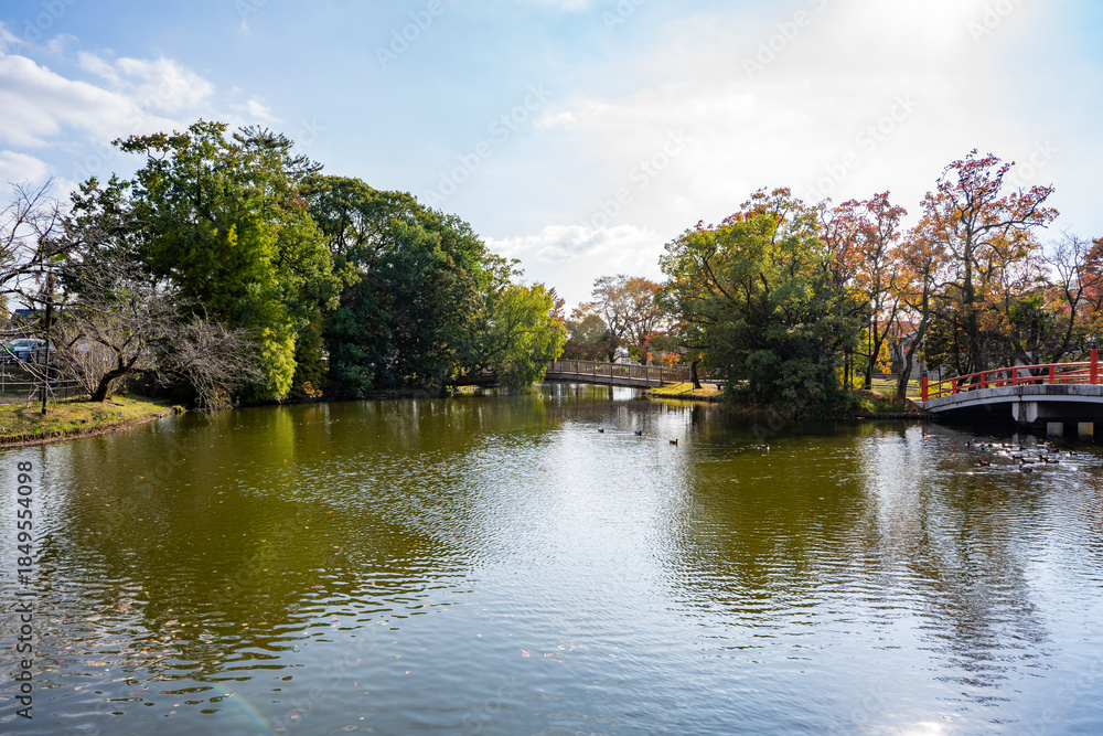 Obraz premium 冬の神柱公園の風景（都城市）