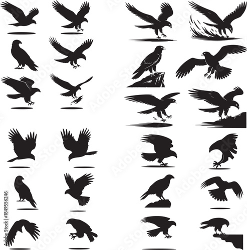 Dynamic cricket bowler and batsman action sequence isolated illustration