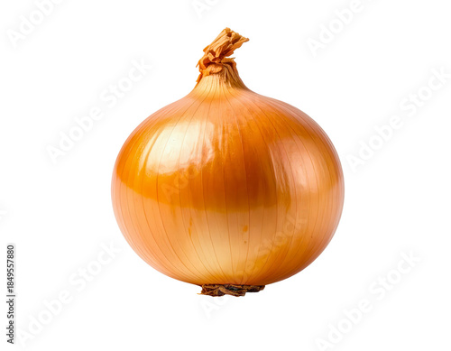 Wallpaper Mural Fresh yellow onion with brown skin on transparent background Torontodigital.ca