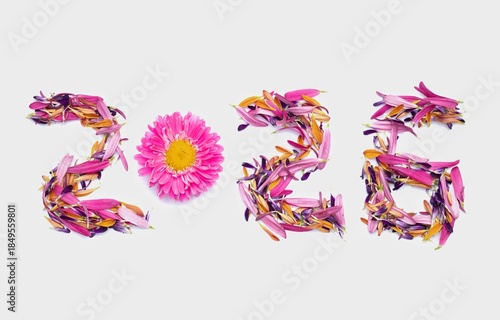 2026 Written with Flower Petals of Chrysanthemum and Aster Flowers  Isolated on White Background with Copy Space, Happy New Year 2026 Concept