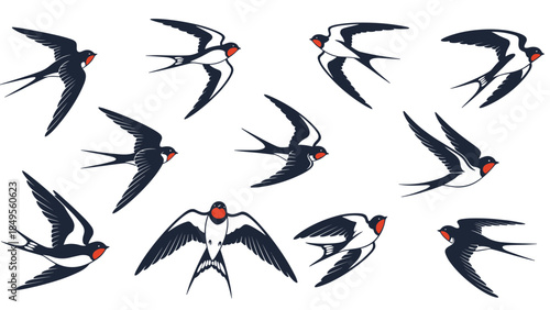 Collection of beautifully illustrated swallow birds in various flying poses, captured in a classic, detailed black and white style.