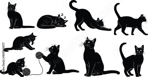 Black cat silhouette vector, feline behavior illustration, pet activity poses, domestic animal graphic, playful cat design, isolated artwork set