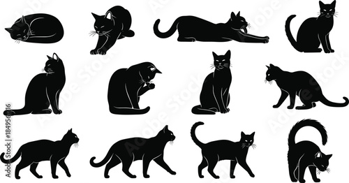 Black cat silhouette illustration, feline posture vector, animal behavior graphic, pet movement design, domestic cat pose set, isolated artwork