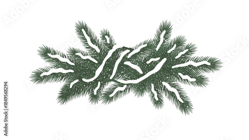 Snowy pine branch with frosted needles on a white background, conveying a serene winter scene with Desember's chill.