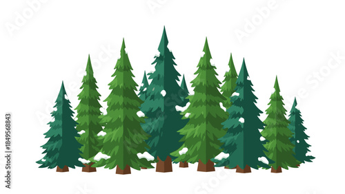 Illustration of a group of evergreen trees in various shades of green against a white background, showcasing different tree types in a simple, graphic style.