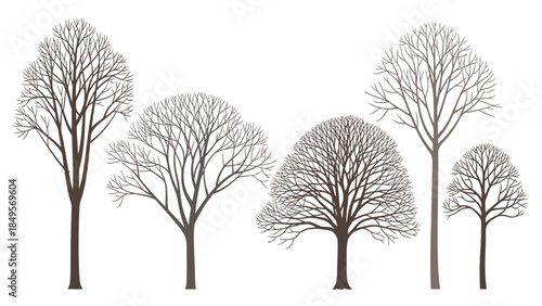 A set of bare trees in various shapes and sizes against a clean white background for graphic design use.