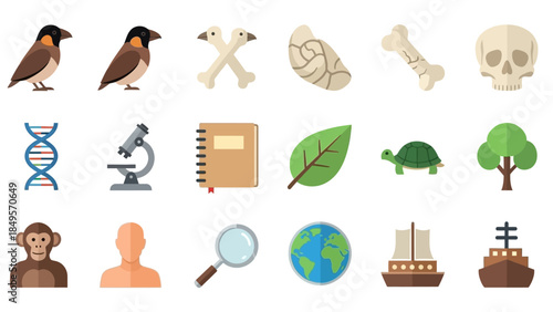 A collection of flat design icons representing biology, evolution, and scientific concepts including animals, bones, DNA, and research tools.