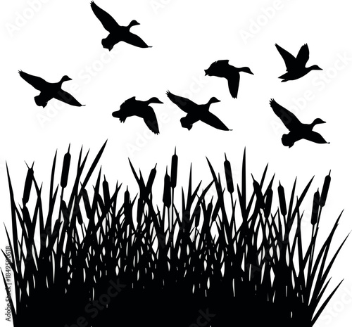vector silhouette of duck bird flock flight over marsh herbs isolated on white background. group of wild ducks and typhaceae marsh herb with leaves and spike flowers