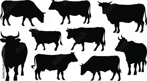 Cow silhouettes collection set farm cattle grazing standing walking isolated on white background agriculture livestock animal vector illustration