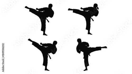 Collection of four black silhouette icons depicting male and female martial artists executing high side kicks in karate uniform