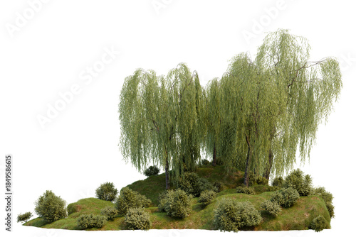 Willow trees in the mountain forest  with isolated on transparent background, PNG file, 3D rendering