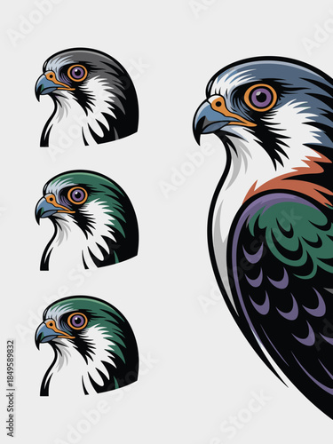 Peregrine falcon head mascot logo set featuring sharp hawk portraits for sports team branding predatory bird of prey illustrations for outdoor adventure apparel and wildlife conservation design