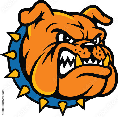 Angry bulldog mascot head vector illustration showing aggressive canine with spiked blue collar for sports team branding gym logo identity school spirit apparel design and gaming community icon