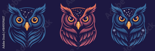 Mystical owl head vector illustration set with celestial star constellations and night sky elements for spiritual branding and creative graphic design magic mysterious bird wildlife art concept