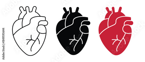 Human Heart icon vector. Real human heart icon.  Perfect for medical graphics, cardiology, healthcare, medical icon, health symbol, love metaphors, or tattoo design. Vector illustration.
