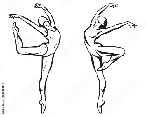 Vector illustration of a slim lady dancer and a woman in a swimsuit showing her back as a linear art drawing of a beautiful naked fashion model body silhouette