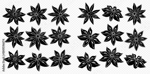 Set of black star anise spice vector illustrations on transparent background.